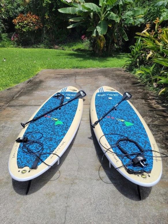 Newly Renovated Condo With Sup Paddle Boards And Golf Clubs Included Kailua-Kona Ngoại thất bức ảnh