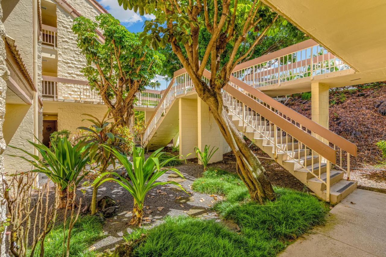 Newly Renovated Condo With Sup Paddle Boards And Golf Clubs Included Kailua-Kona Ngoại thất bức ảnh