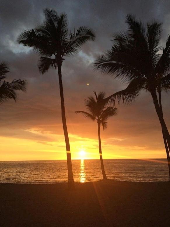 Newly Renovated Condo With Sup Paddle Boards And Golf Clubs Included Kailua-Kona Ngoại thất bức ảnh