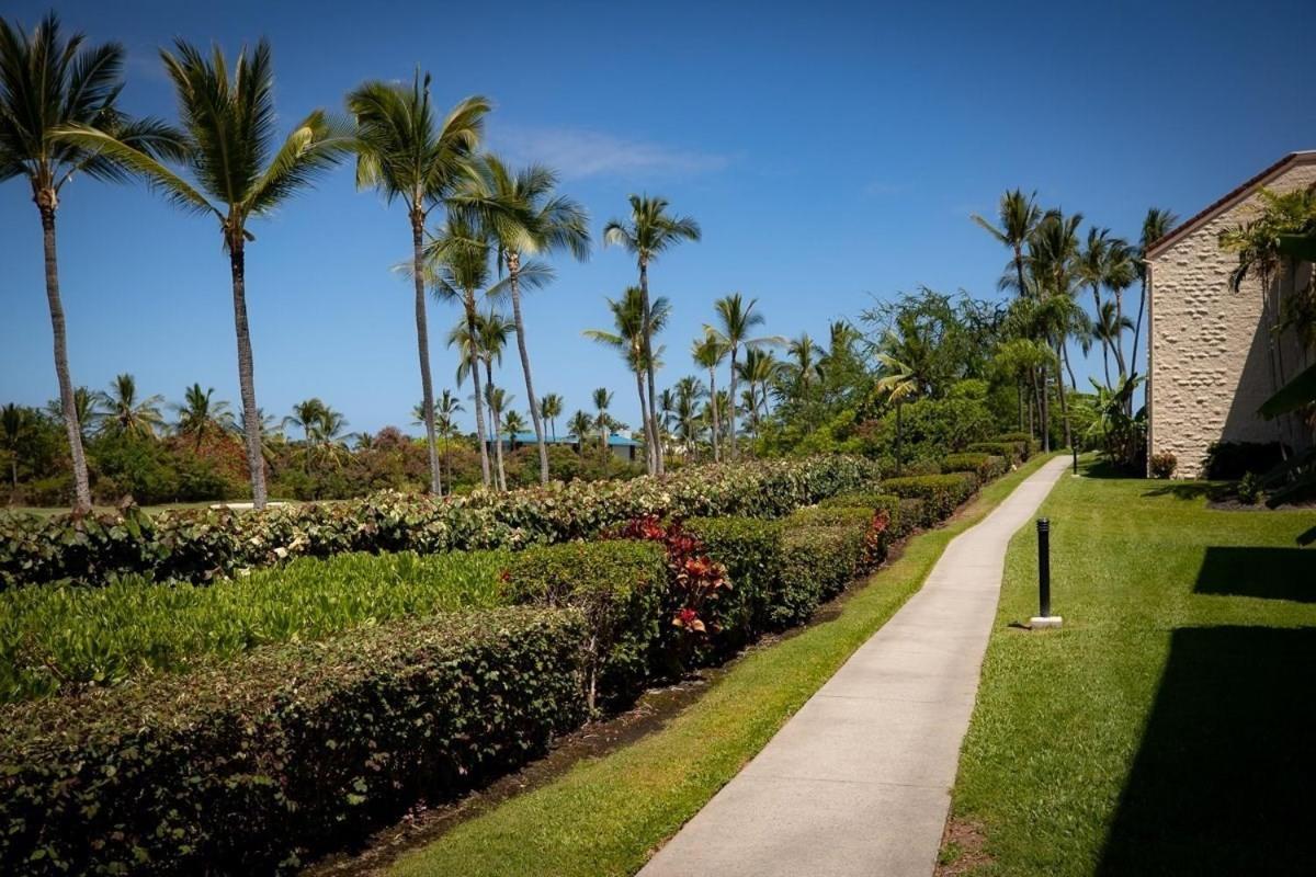 Newly Renovated Condo With Sup Paddle Boards And Golf Clubs Included Kailua-Kona Ngoại thất bức ảnh